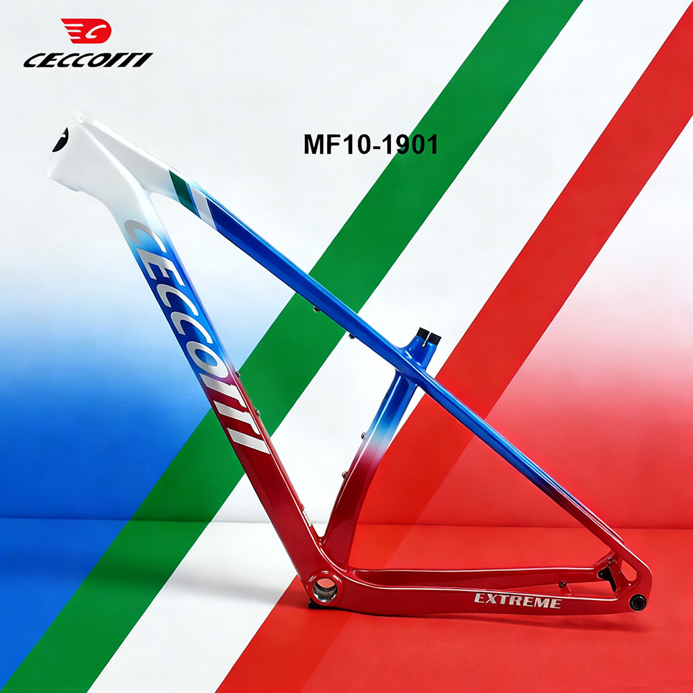 Carbon Mountain Bike Frame 29Er Boost - 2026 Individuell anpassbare Farbe für T1000