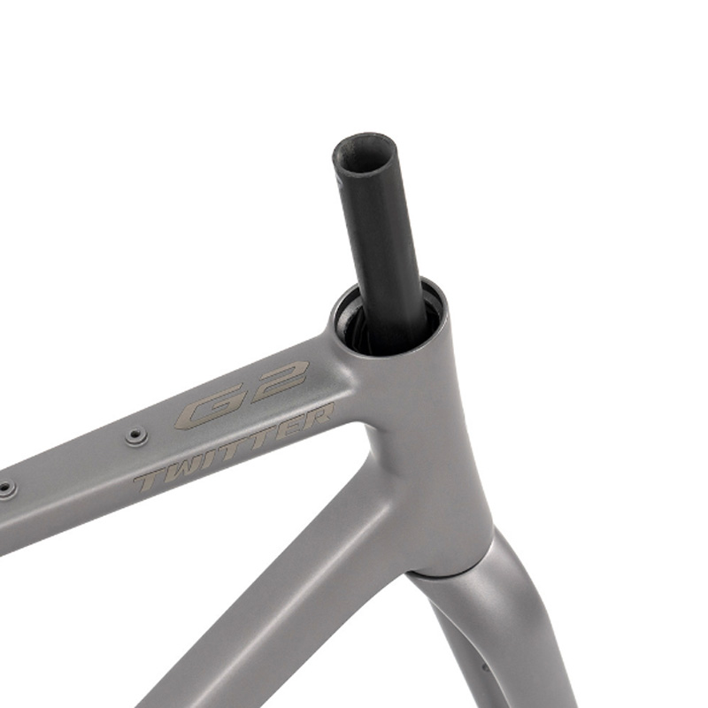 Aluminium-Legierung Gravel-Bik – Carbon Fork Gravel Disc Brake Bewertung und Preis